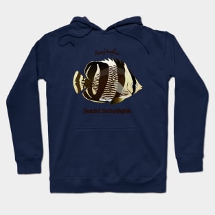 Banded Butterflyfish Hoodie